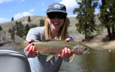 Bozeman, MT Fly Fishing Report 5/22/19