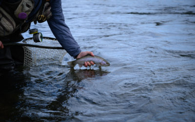 February Fly Fishing in Montana