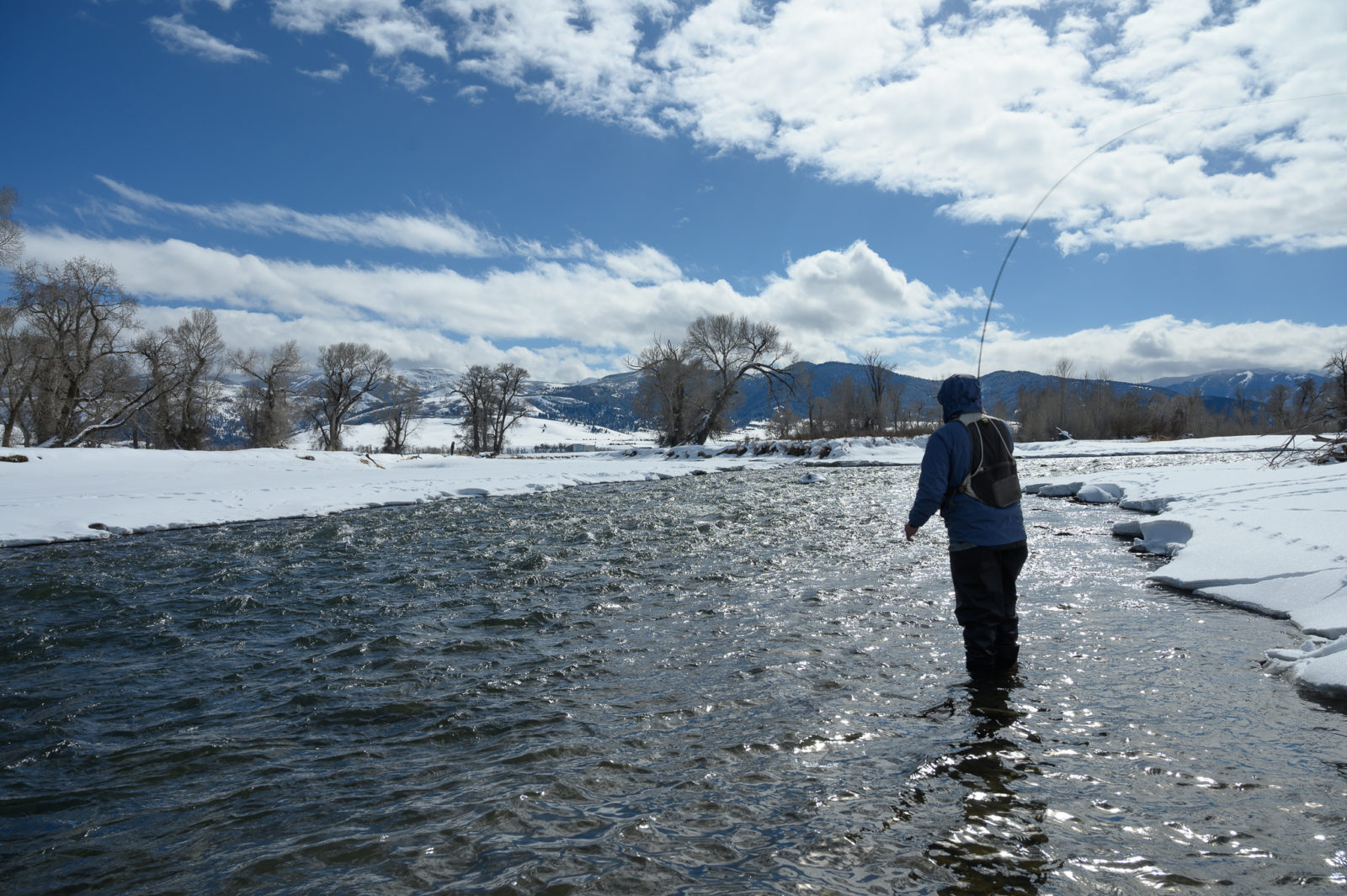 angler fly fishing on Montana's Gallatin River during the winter