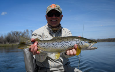 Bozeman, MT Fly Fishing Report 5/14/19