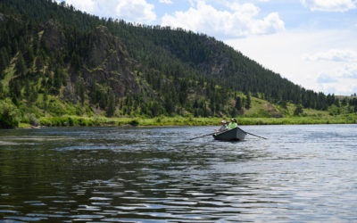 June Fly Fishing in Montana