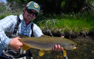 July 2019 Montana Fly Fishing Forecast