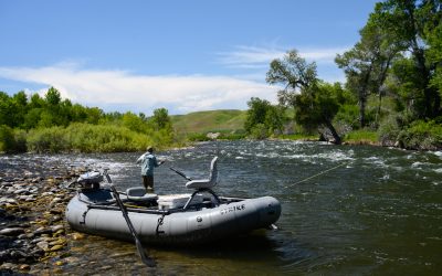 Guide to Summer Fly Fishing in Montana