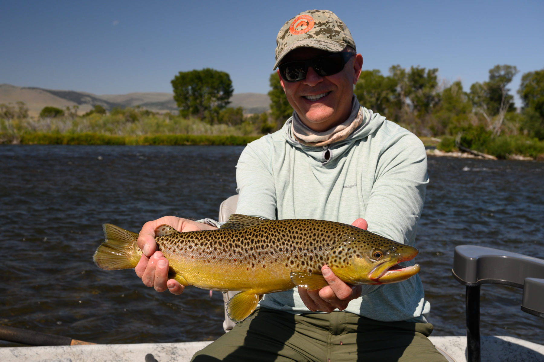 Madison River Dry Fly Brown Trout