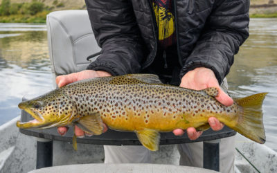 Missouri River Fall Fly Fishing Trips