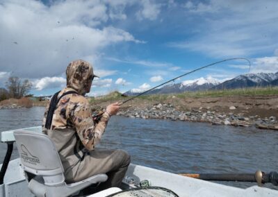 May fly fishing on the Yellowstone River