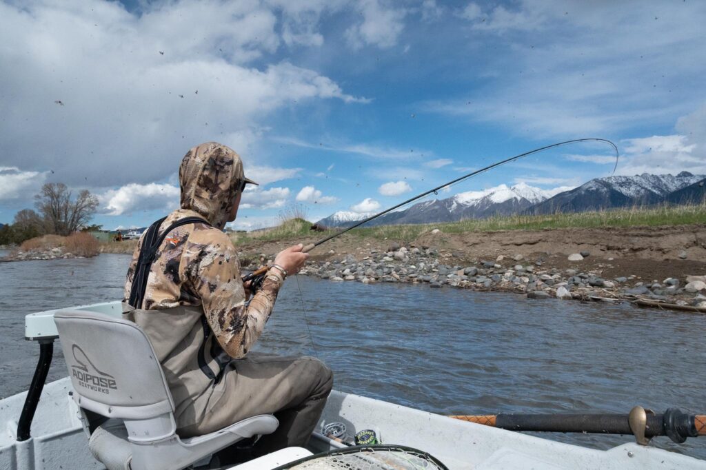 May fly fishing on the Yellowstone River