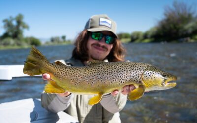 7/22/2020 Bozeman, MT Fly Fishing Report