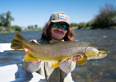 Madison River Brown Trout caught in July