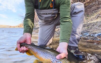 4/19/2021  Bozeman, MT Fly Fishing Report