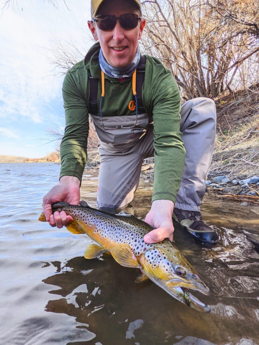 Angler with a Missouri River Brown trout in April