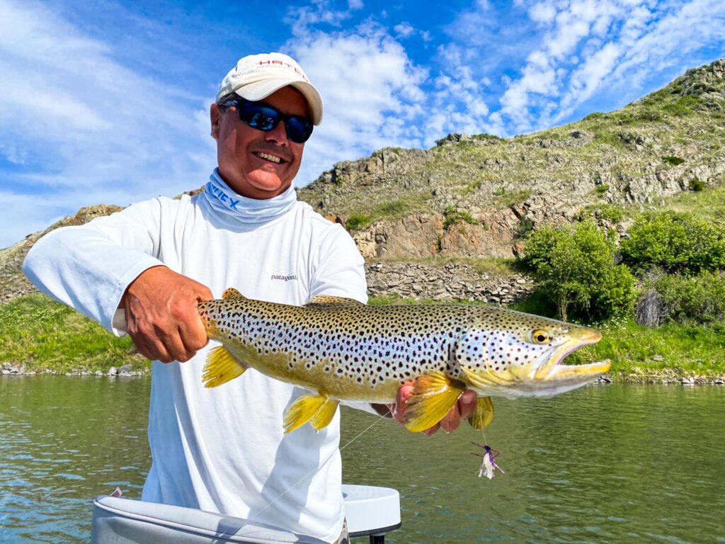 Montana angler with a Missouri River brown trout
