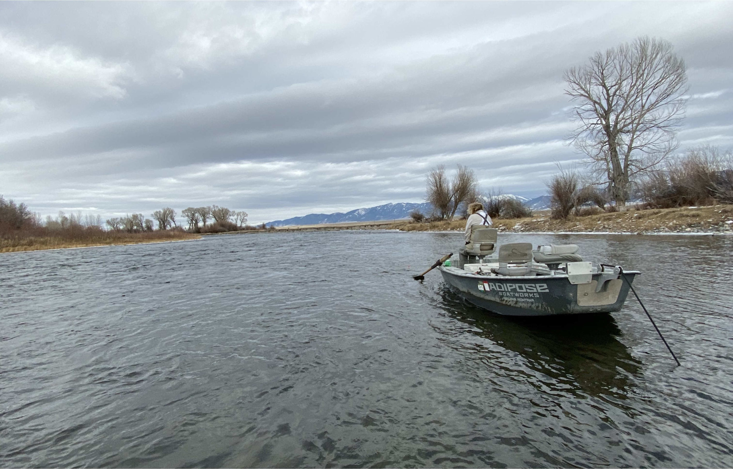 Bozeman, MT Fly Fishing Report 11/15/19 - Montana Angling Company