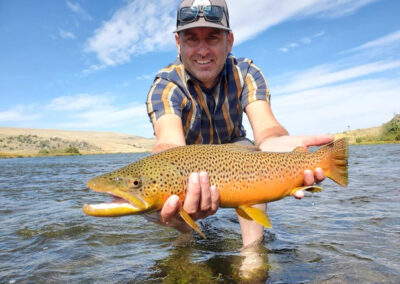 Madison River fall brown trout