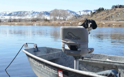 Missouri River Winter Fly Fishing Trips