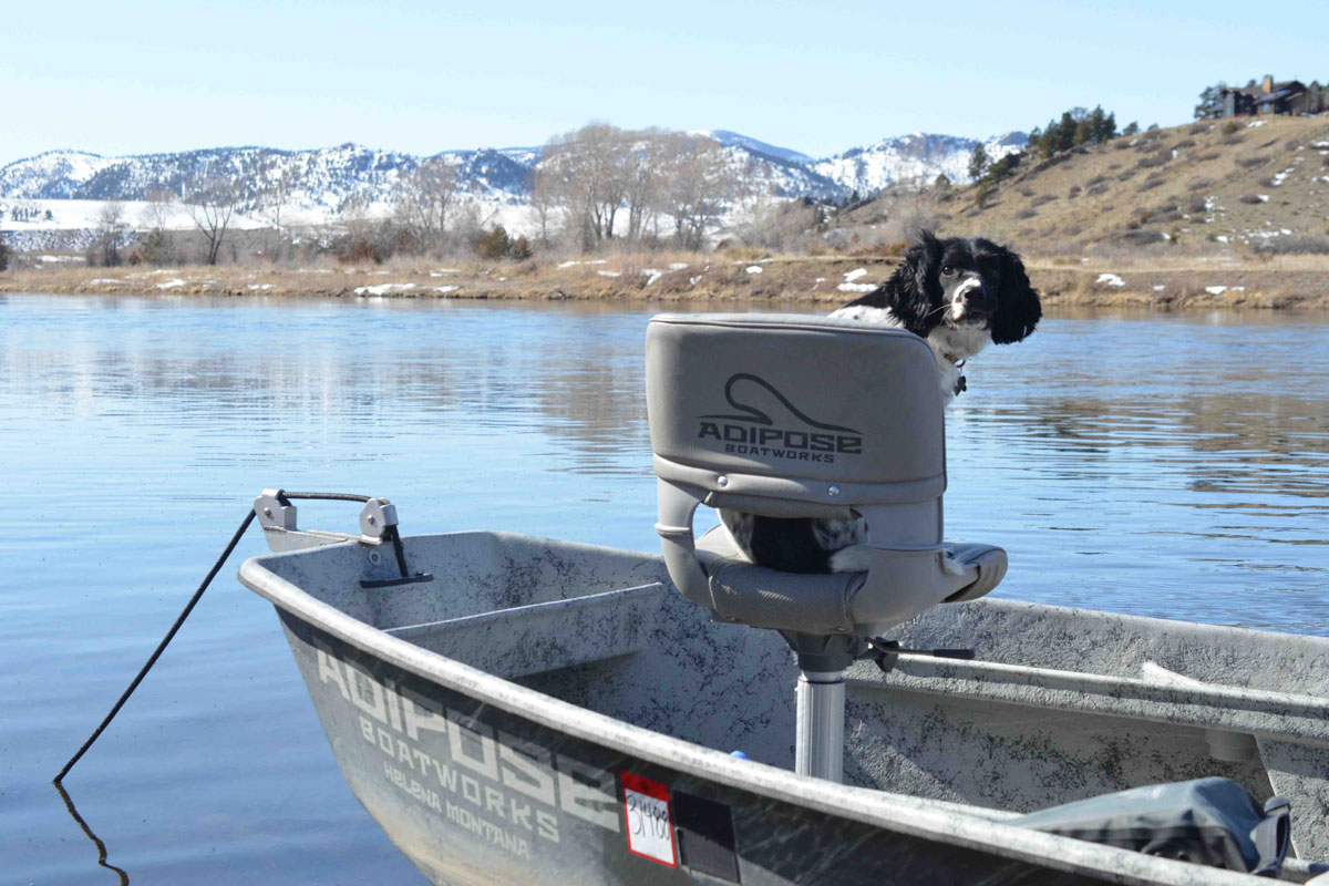 black and white dog sitting on drift boat seat on missouri river