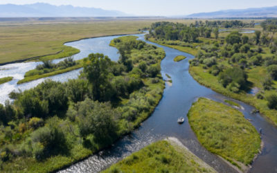 Madison River Fly Fishing Guides, Trips, and Outfitting