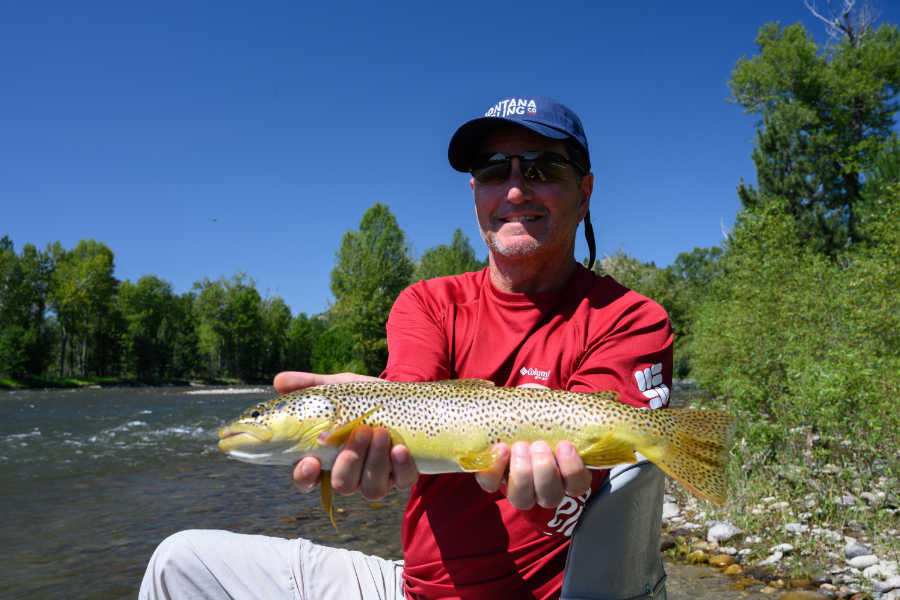 https://www.montanaanglingco.com/wp-content/uploads/Stillwater-River-Brown-Trout.jpg