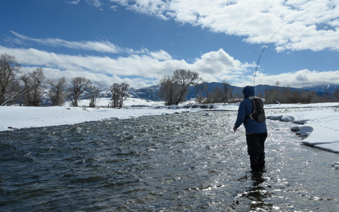 Winter 2019 Bozeman Fly Fishing Trips