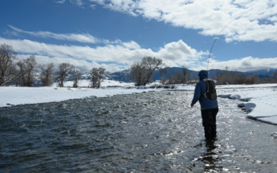 Winter 2019 Bozeman Fly Fishing Trips