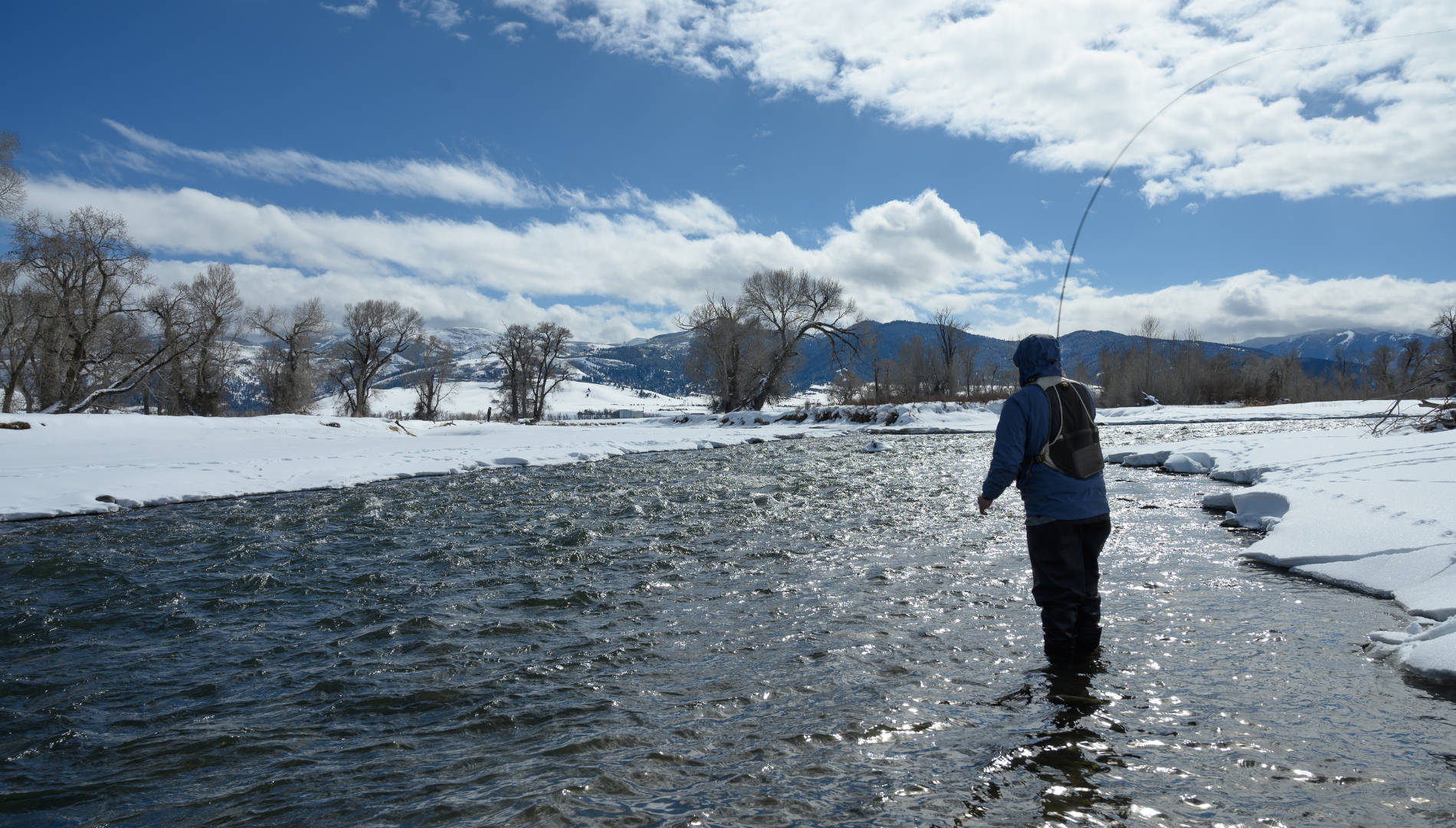 Winter Fly Fishing in Montana