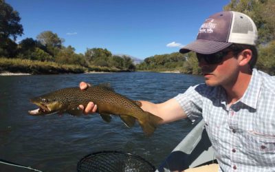 Bozeman, MT Fly Fishing Report 11/26/18