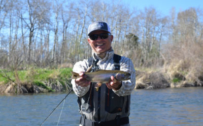 Spring Montana Spring Creek Fly Fishing Trips