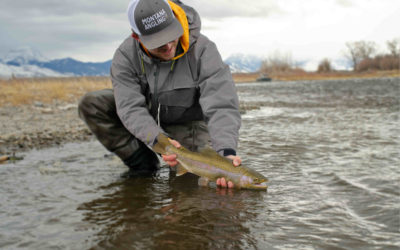 2018 Montana Fly Fishing Season Wrap-Up