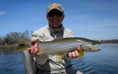 May Fly Fishing in Montana