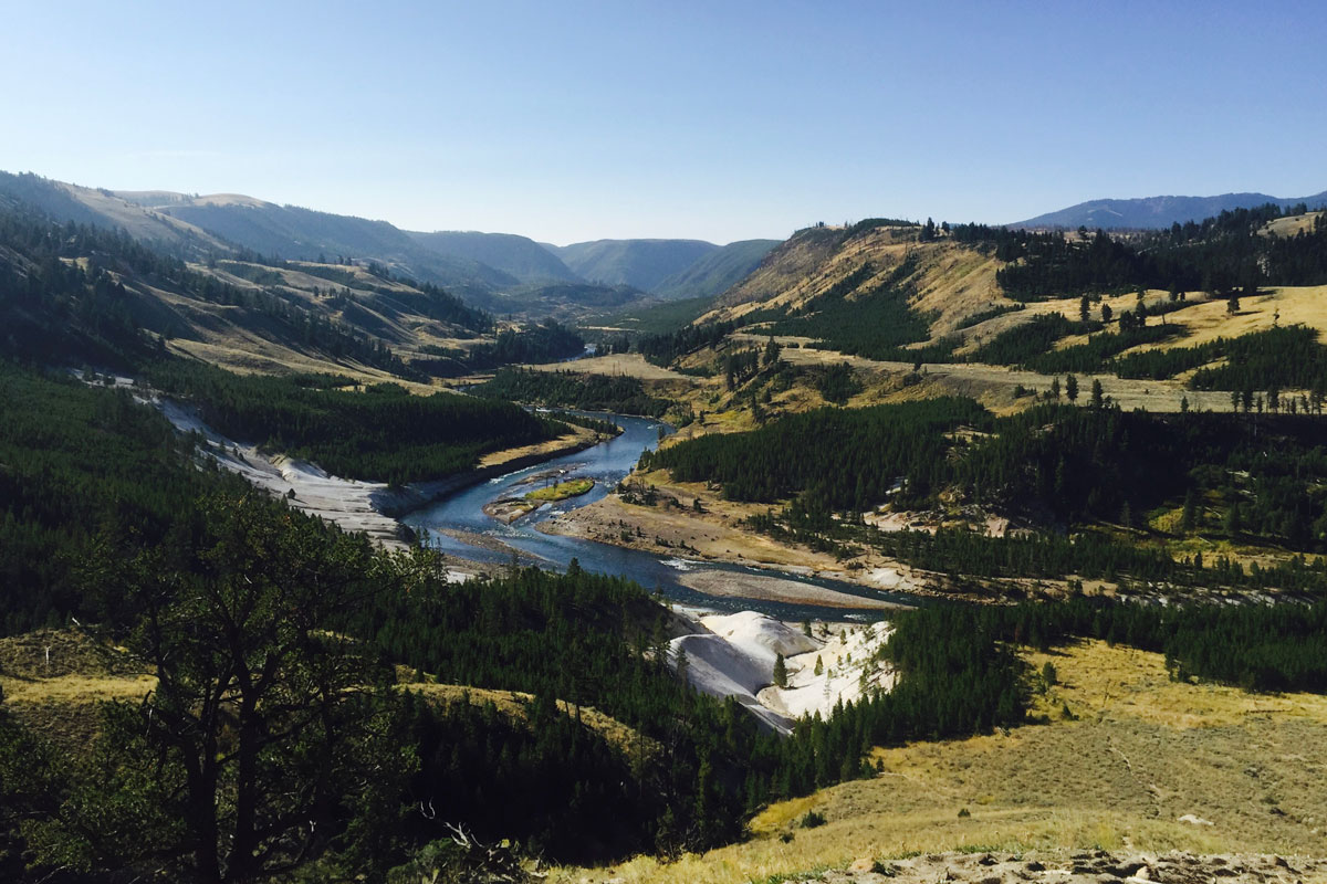 Yellowstone River flowing through Yellowstone National Park