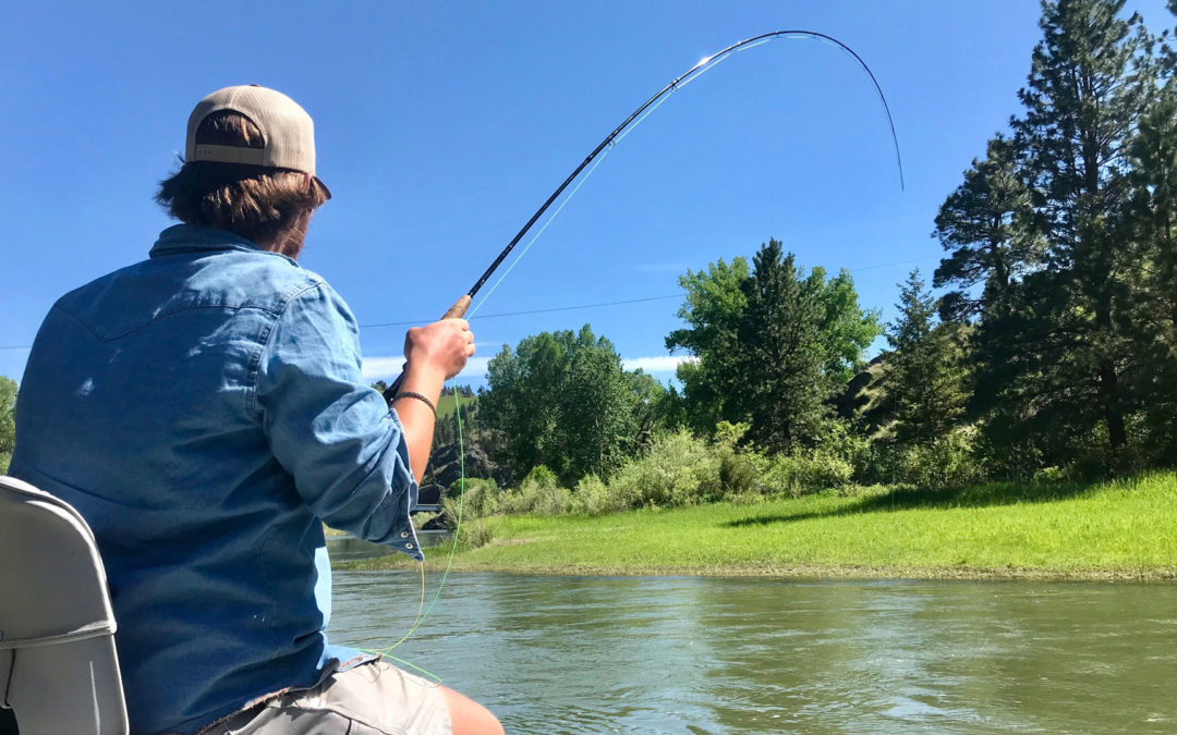 June 2019 Montana Fly Fishing Forecast