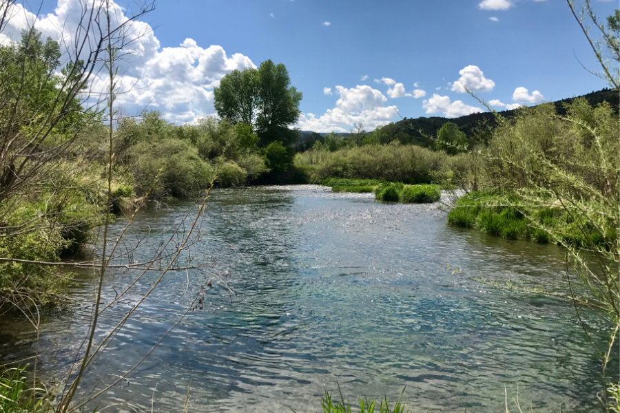 September Fishing on the Montana Spring Creeks