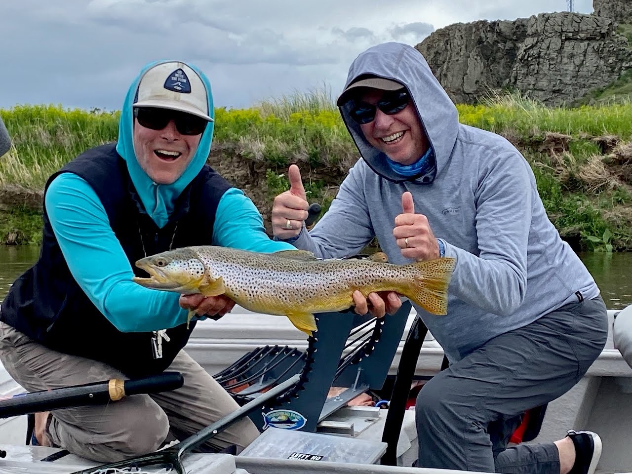 Missouri River Brown Trout