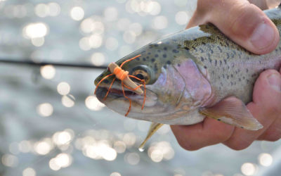 5 Late Summer Fly Fishing Tactics