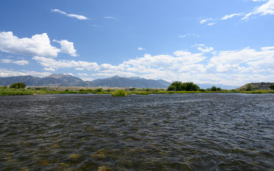 Big Sky, MT Fly Fishing Guides, Trips, and Outfitting