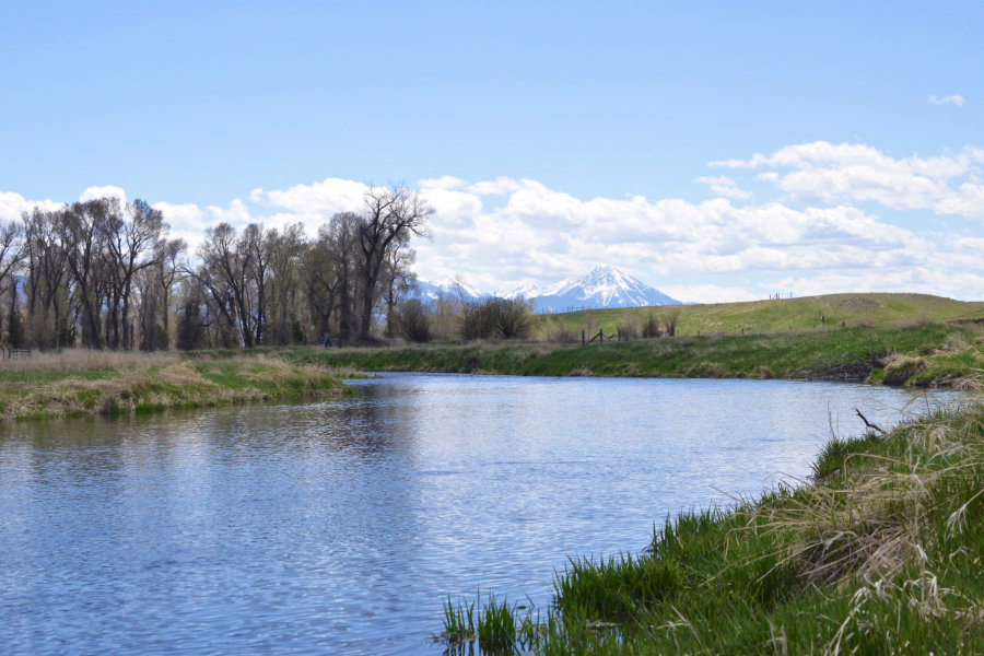 Depuy's Spring Creek in Paradise Valley