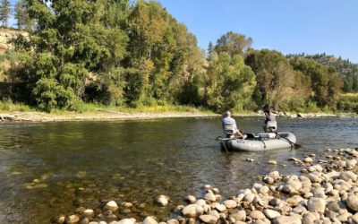 Bozeman, Montana Fly Fishing Report 5/23/18