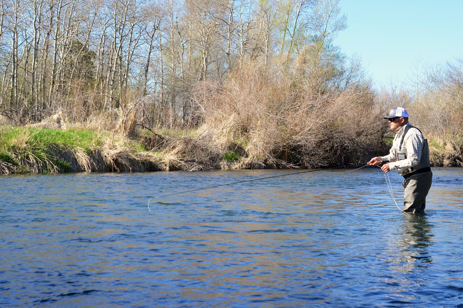fly fisherman wading in river casting