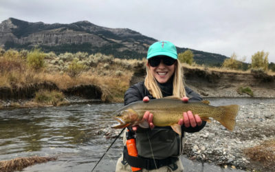 September 2020 Montana Fly Fishing Forecast