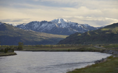 Yellowstone River Spring Fly Fishing Trips